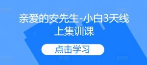 亲爱的安先生-小白3天线上集训课-KJ分享
