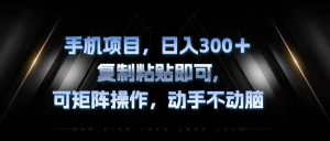 手机项目,日入300+,复制黏贴即可,可矩阵操作,动手不动脑-KJ分享
