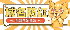 0基础搭建域名防红告别被封风险,学会可对外接单,一单收200+【揭秘】-KJ分享
