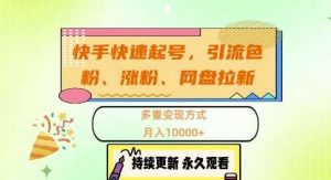 快手快速起号，引流s粉、涨粉、网盘拉新多重变现方式，月入1w【揭秘】-KJ分享