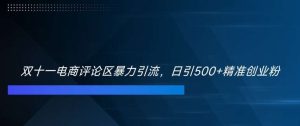 双十一电商评论区暴力引流，日引500+精准创业粉【揭秘】-KJ分享