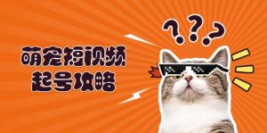萌宠-短视频起号攻略:定位搭建推流全解析,助力新手轻松打造爆款-KJ分享