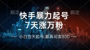 快手暴力起号，7天涨万粉，小白当天起号 多种变现方式，账号回收，单月…-KJ分享