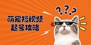 萌宠短视频起号攻略:定位搭建推流全解析,助力新手轻松打造爆款-KJ分享