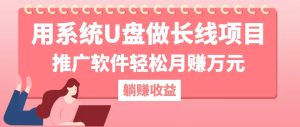 用系统U盘做长线项目，推广软件轻松月赚万元-KJ分享