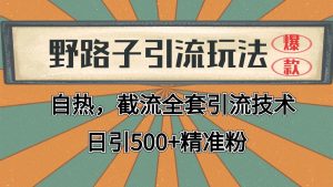 抖音小红书视频号全平台引流打法，全自动引流日引2000+精准客户-KJ分享