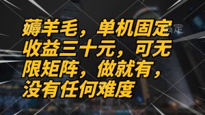 薅羊毛项目，单机三十元，做就有，可无限矩阵 无任何难度-KJ分享