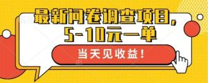 最新问卷调查项目，单日零撸100＋-KJ分享