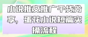 小说推文推广干货分享，蛋花小说短篇实操流程-KJ分享