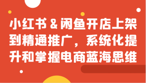 小红书&闲鱼开店上架到精通推广,系统化提升和掌握电商蓝海思维-KJ分享