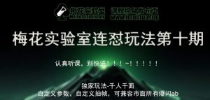 梅花实验室社群专享课视频号连怼玩法第十期课程+第二部分-FF助手全新高自由万能爆闪AB处理-KJ分享
