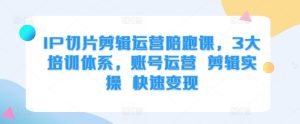 IP切片剪辑运营陪跑课，3大培训体系，账号运营 剪辑实操 快速变现-KJ分享