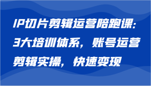 IP切片剪辑运营陪跑课，3大培训体系：账号运营 剪辑实操 快速变现-KJ分享