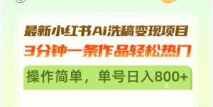 最新小红书Ai洗稿变现项目 3分钟一条作品轻松热门 操作简单，单号日入800+-KJ分享