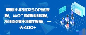 最新小说推文SOP全流程，从0~1保姆级教程，不用出镜不用拍视频，一天400+-KJ分享