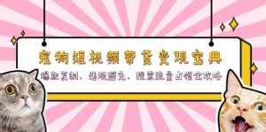 宠物短视频带货变现宝典:爆款复制、违规避免、搜索流量占领全攻略-KJ分享
