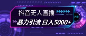 抖音快手视频号全平台通用无人直播引流法，利用图片模板和语音话术，暴力日引流100+创业粉-KJ分享