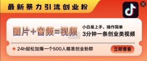 抖音最新暴力引流创业粉，3分钟一条创业类视频，24h轻松加爆一个500人精准创业粉群-KJ分享