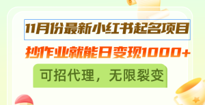 11月份最新小红书起名项目，抄作业就能日变现1000+，可招代理，无限裂变-KJ分享
