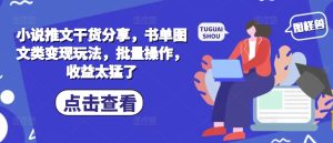 小说推文干货分享，书单图文类变现玩法，批量操作，收益太猛了-KJ分享