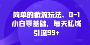 简单的截流玩法，0-1小白零基础，每天私域引流99+-KJ分享