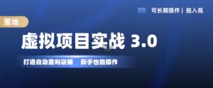虚拟项目实战3.0,打造自动盈利店铺,可长期操作投入低,新手也能操作-KJ分享