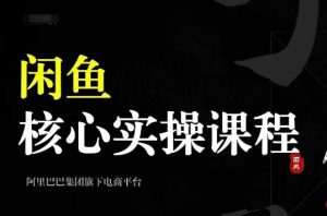 2024闲鱼核心实操课程,从养号、选品、发布、销售,教你做一个出单的闲鱼号-KJ分享