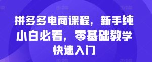 拼多多电商课程，新手纯小白必看，零基础教学快速入门-KJ分享