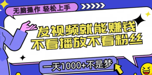 无脑操作,只要发视频就能赚钱?不看播放不看粉丝,小白轻松上手,一天…-KJ分享