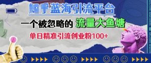 豆瓣蓝海引流平台,一个被忽略的流量大鱼塘,单日精准引流创业粉100+-KJ分享