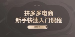 拼多多电商新手快速入门课程：涵盖基础、实战与选款，助力小白轻松上手-KJ分享
