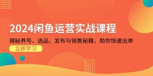 2024闲鱼运营实战课程:揭秘养号、选品、发布与销售秘籍,助你快速出单-KJ分享