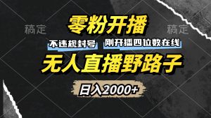 零粉开播，无人直播野路子，日入2000+，不违规封号，躺赚收益！-KJ分享