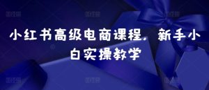 小红书高级电商课程，新手小白实操教学-KJ分享
