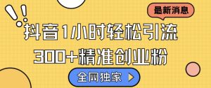 全网独家抖音引流，轻松日引300+精准创业粉-KJ分享