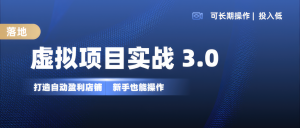 虚拟项目实操落地 3.0,新手轻松上手,单品月入1W+-KJ分享