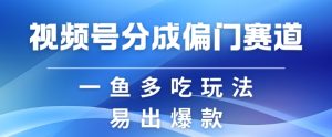 视频号创作者分成计划偏门类目,容易爆流,实拍内容简单易做-KJ分享
