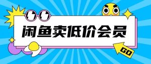 外面收费998的闲鱼低价充值会员搬砖玩法号称日入200+-KJ分享