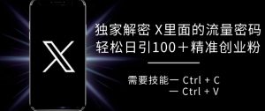 独家解密 X 里面的流量密码,复制粘贴轻松日引100+-KJ分享