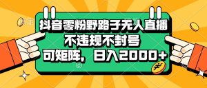 抖音零粉野路子无人直播，不违规不封号，可矩阵，日入2000+-KJ分享