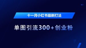 十一月小红书最新打法，单图引流300+创业粉-KJ分享