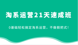 淘系运营21天速成班,0基础轻松搞定淘系运营,不做假把式!-KJ分享