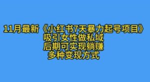 K总部落11月最新小红书7天暴力起号项目，吸引女性做私域-KJ分享