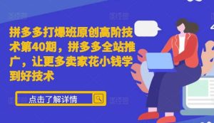 拼多多打爆班原创高阶技术第40期,拼多多全站推广,让更多卖家花小钱学到好技术-KJ分享