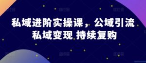私域进阶实操课,公域引流 私域变现 持续复购-KJ分享