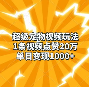 超级宠物视频玩法,1条视频点赞20万,单日变现1k-KJ分享