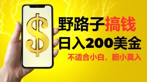 挂机野路子搞钱,日入200美金,路子很野,小白莫入-KJ分享