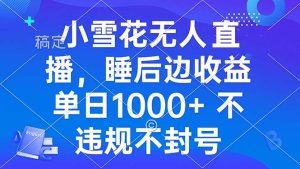 小雪花无人直播 睡后收益单日1000+ 零粉丝新号开播 不违规 看完就会-KJ分享