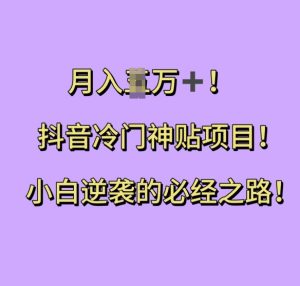 抖音冷门神贴项目，小白逆袭的必经之路，月入过W-KJ分享