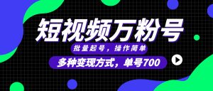 短视频快速涨粉,批量起号,单号700,多种变现途径,可无限扩大来做。-KJ分享